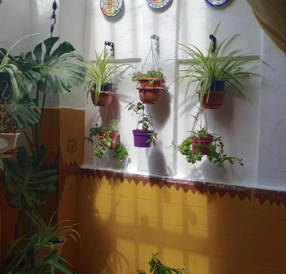 Habitación en casa particular Cerca de Sevilla aerodromo y bosque suspenfido Bollullos de la Mitación